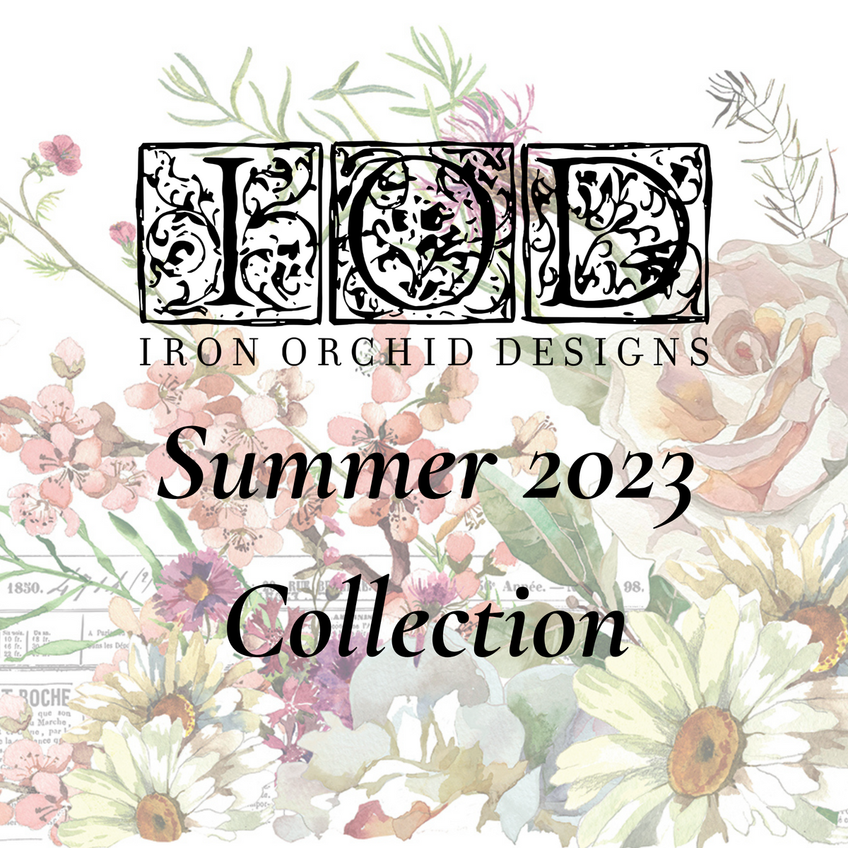 Shop the Complete IOD Iron Orchid Designs Summer 2023 Collection