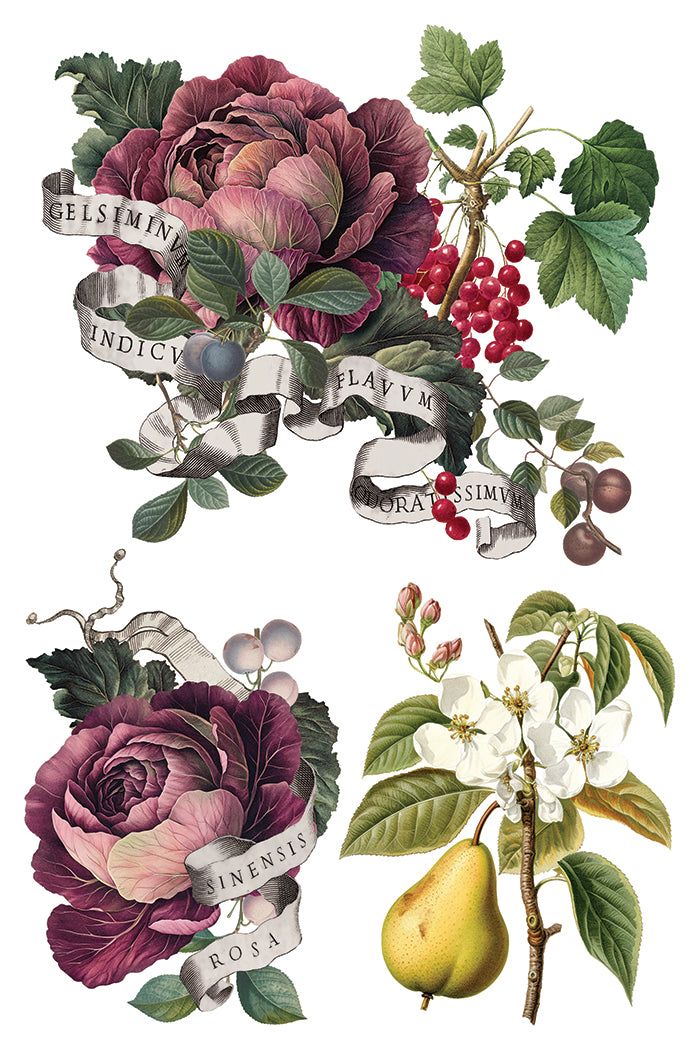 Clementine Transfer (2025 Limited Release) by IOD - Iron Orchid Designs