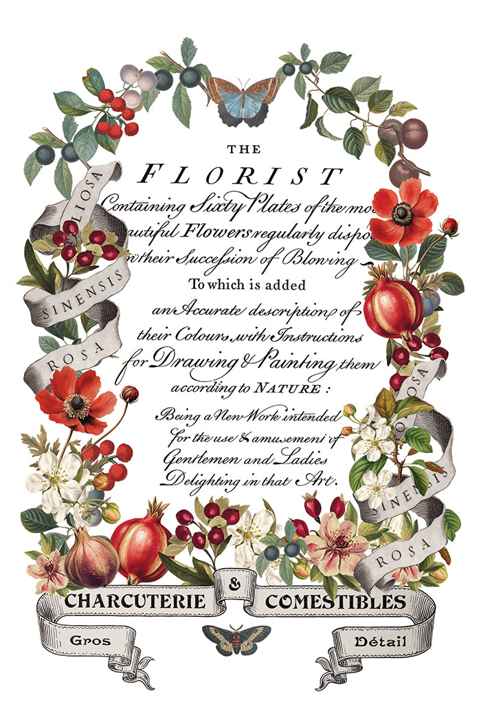 Clementine Transfer (2025 Limited Release) by IOD - Iron Orchid Designs