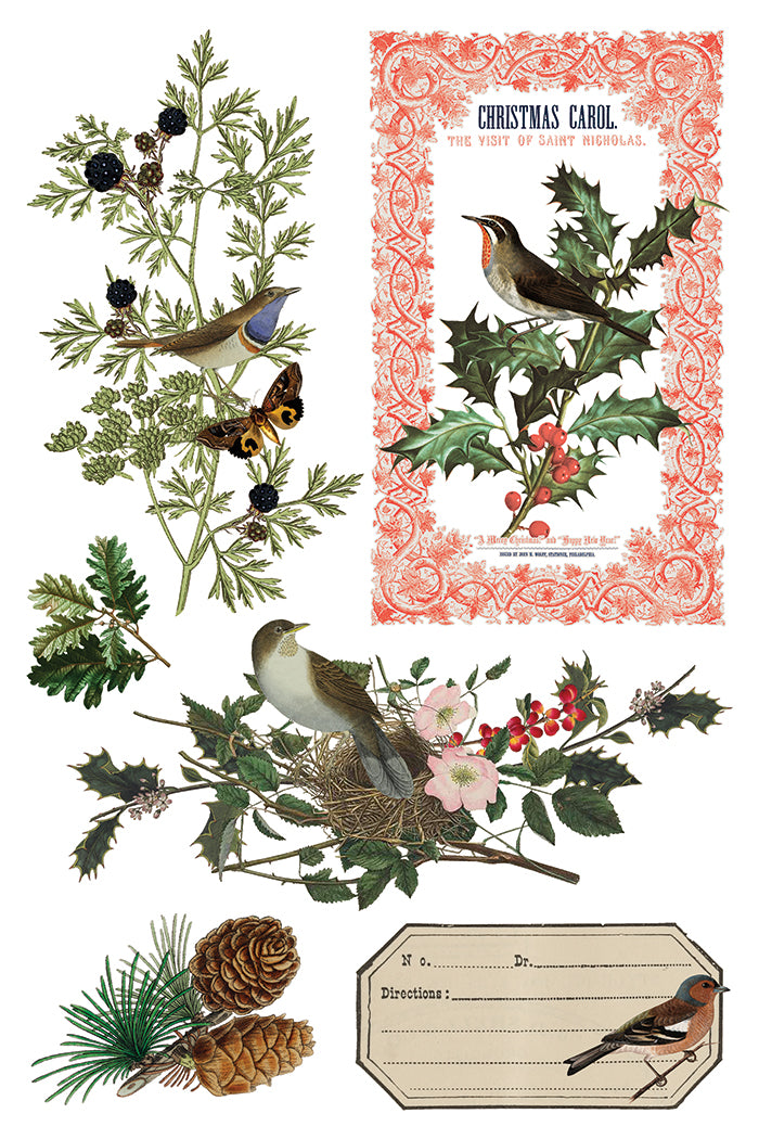 Winter Botanist Transfer (2025 Limited Release) by IOD - Iron Orchid Designs