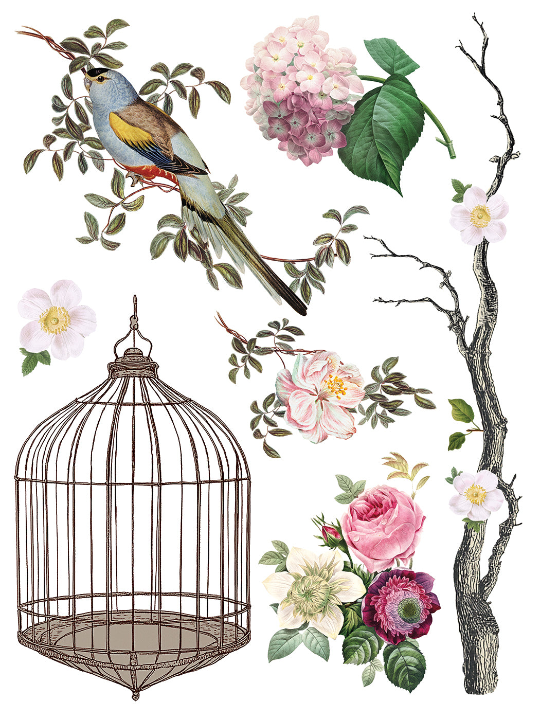 Menagerie Transfer by IOD - Iron Orchid Designs