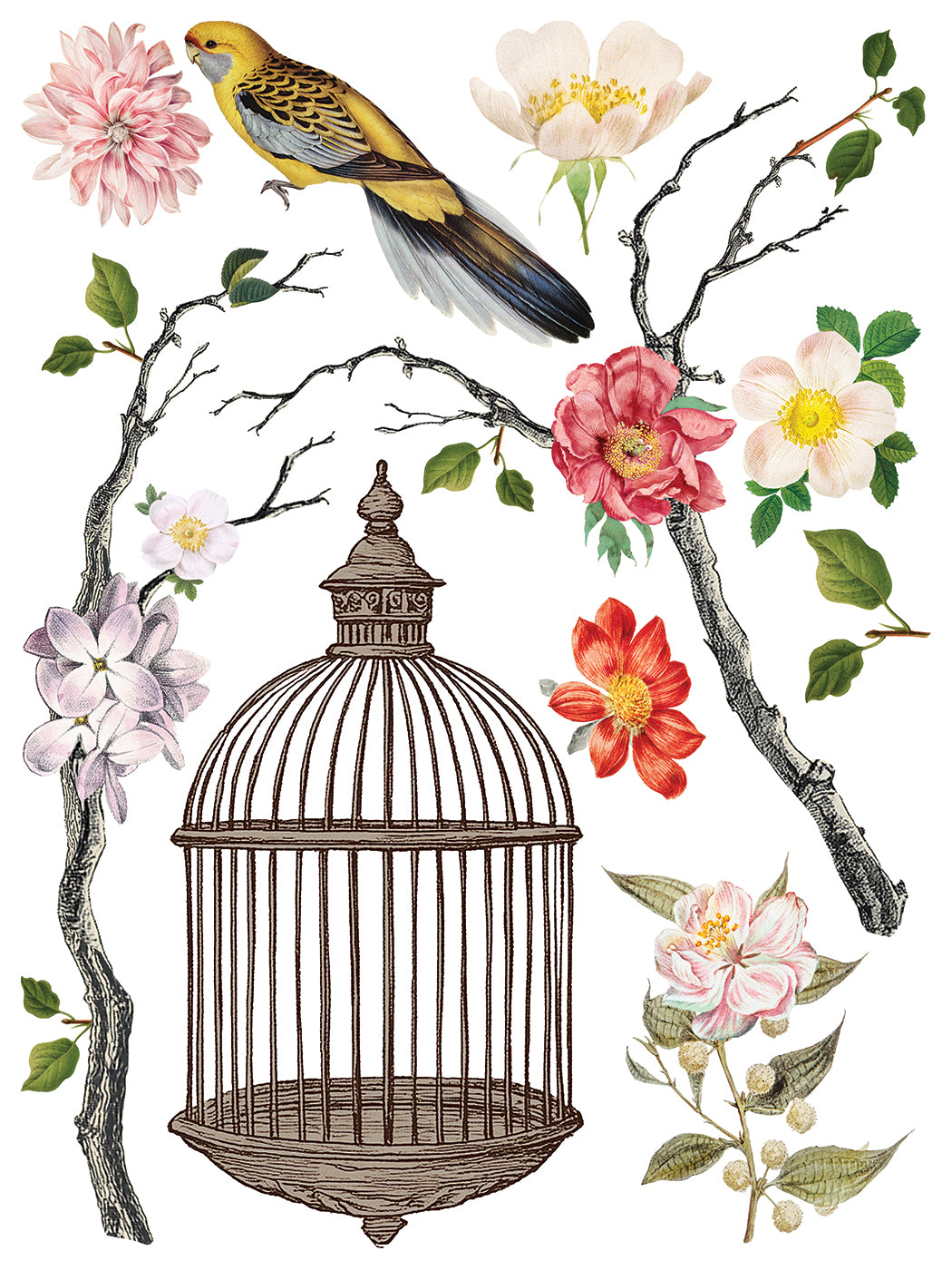 Menagerie Transfer by IOD - Iron Orchid Designs