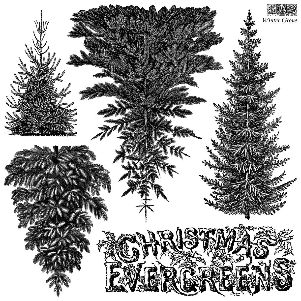 IOD Winter Grove Stamp packaging showing 12x12 sheet with reusable masks and evergreen artwork