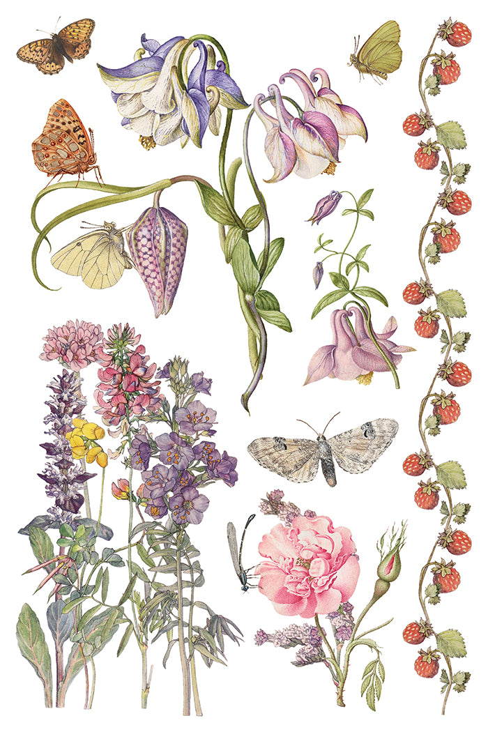 Primrose Isle Transfer by IOD - Iron Orchid Designs