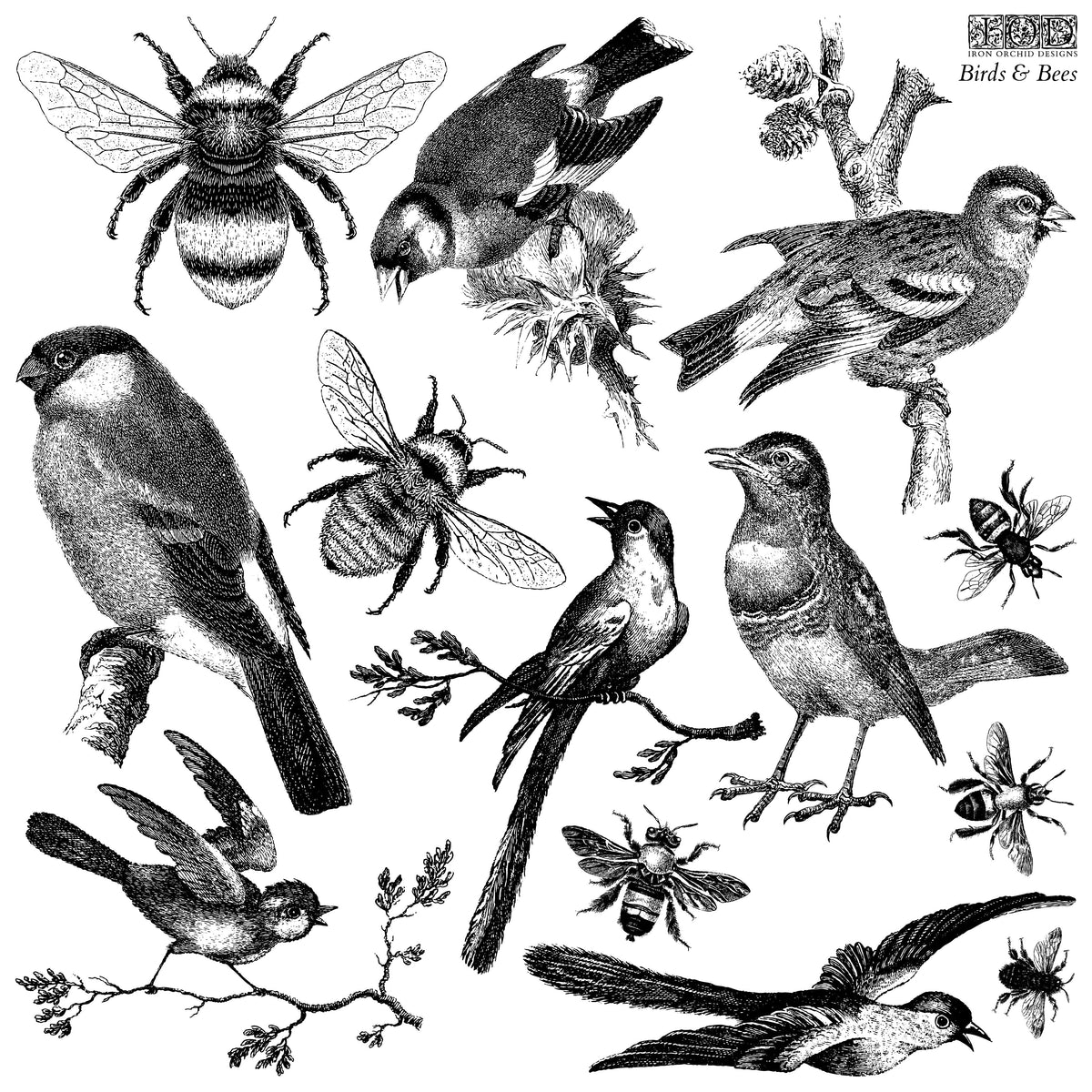 Black and white Birds and Bees Stamp by IOD, designed for use with I.O.D. silicone stamps or scrapbooking projects.