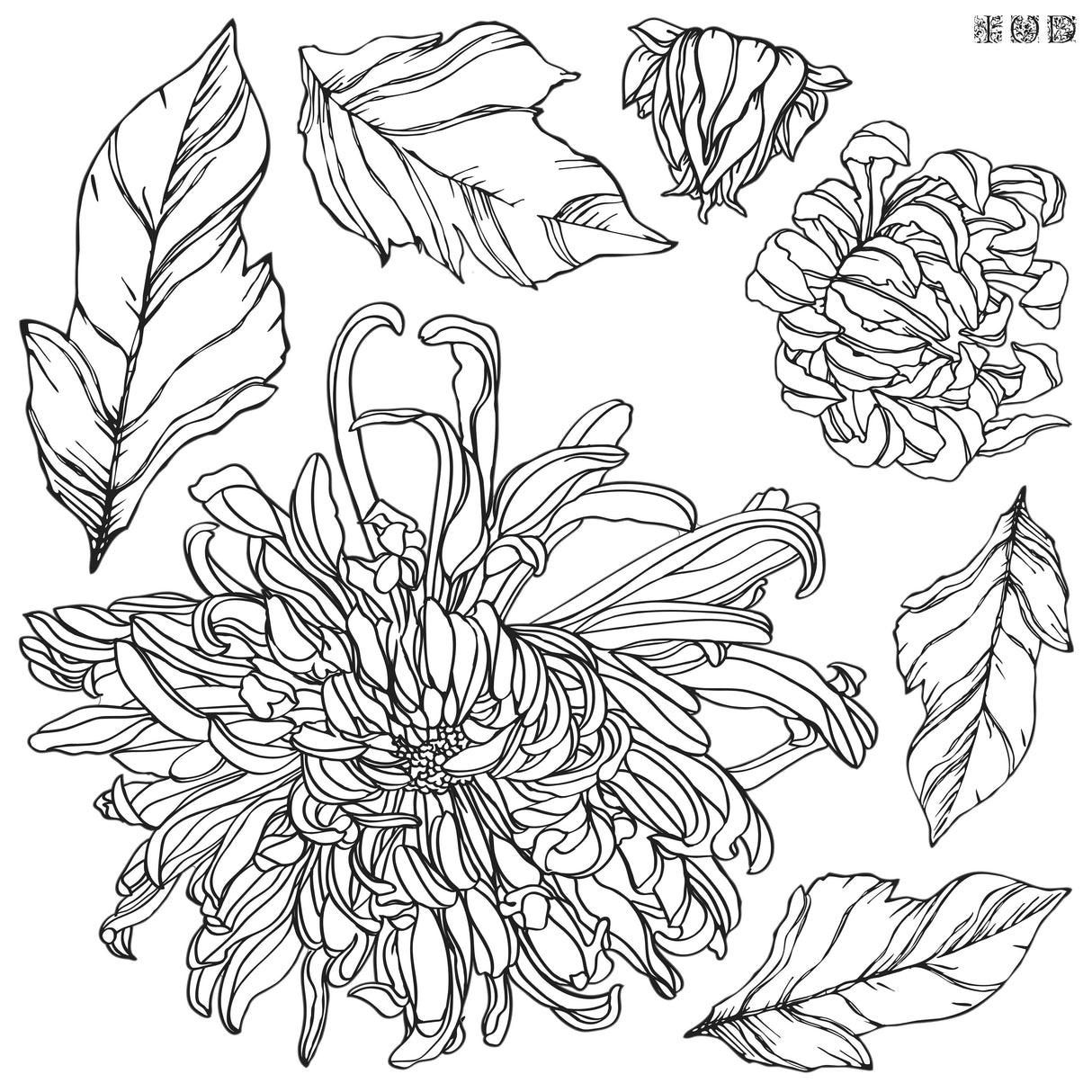 Chrysanthemums Decor Stamp by IOD - Iron Orchid Designs @ Painted Heirloom