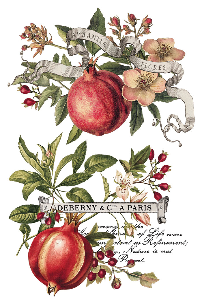 Two pomegranate and flower transfers in I.O.D. Clementine Transfer 2025 Limited Release style.