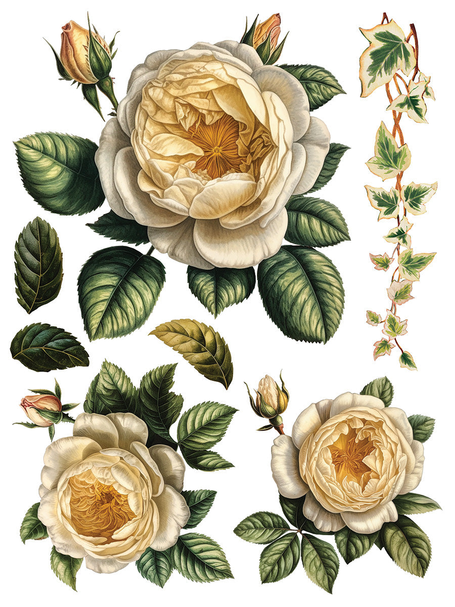 Collage De Fleurs Transfer by IOD featuring roses, buds, and ivy for floral or cottagecore collage projects.