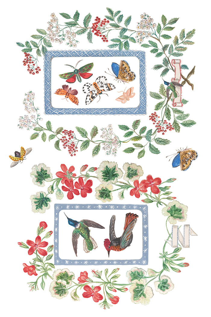 Two frames decorated with Emily Clare Transfer by IOD featuring butterflies, moths, birds, and botanicals.