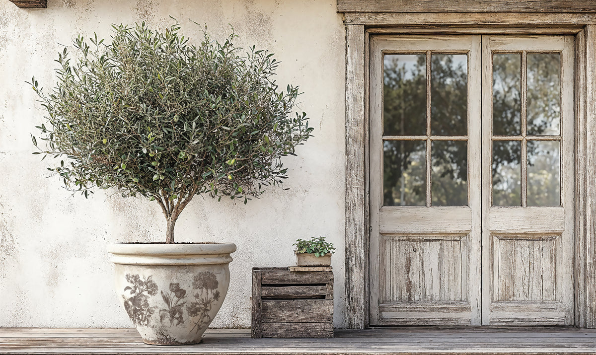 Potted tree, plant, and rustic door with Parisian labels and IOD Retired Floriography Paint Inlay accents.