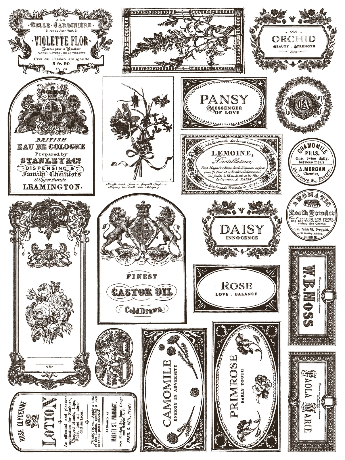 IOD Retired Floriography Paint Inlay, vintage Parisian label and floral design with ornate borders by Iron Orchid Designs.