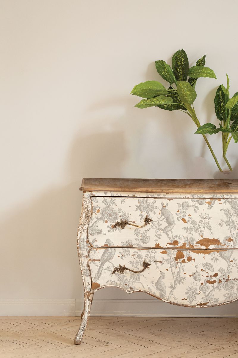 Distressed dresser with IOD Grisaille Toile Paint Inlay and wood top, shown with leafy plant.