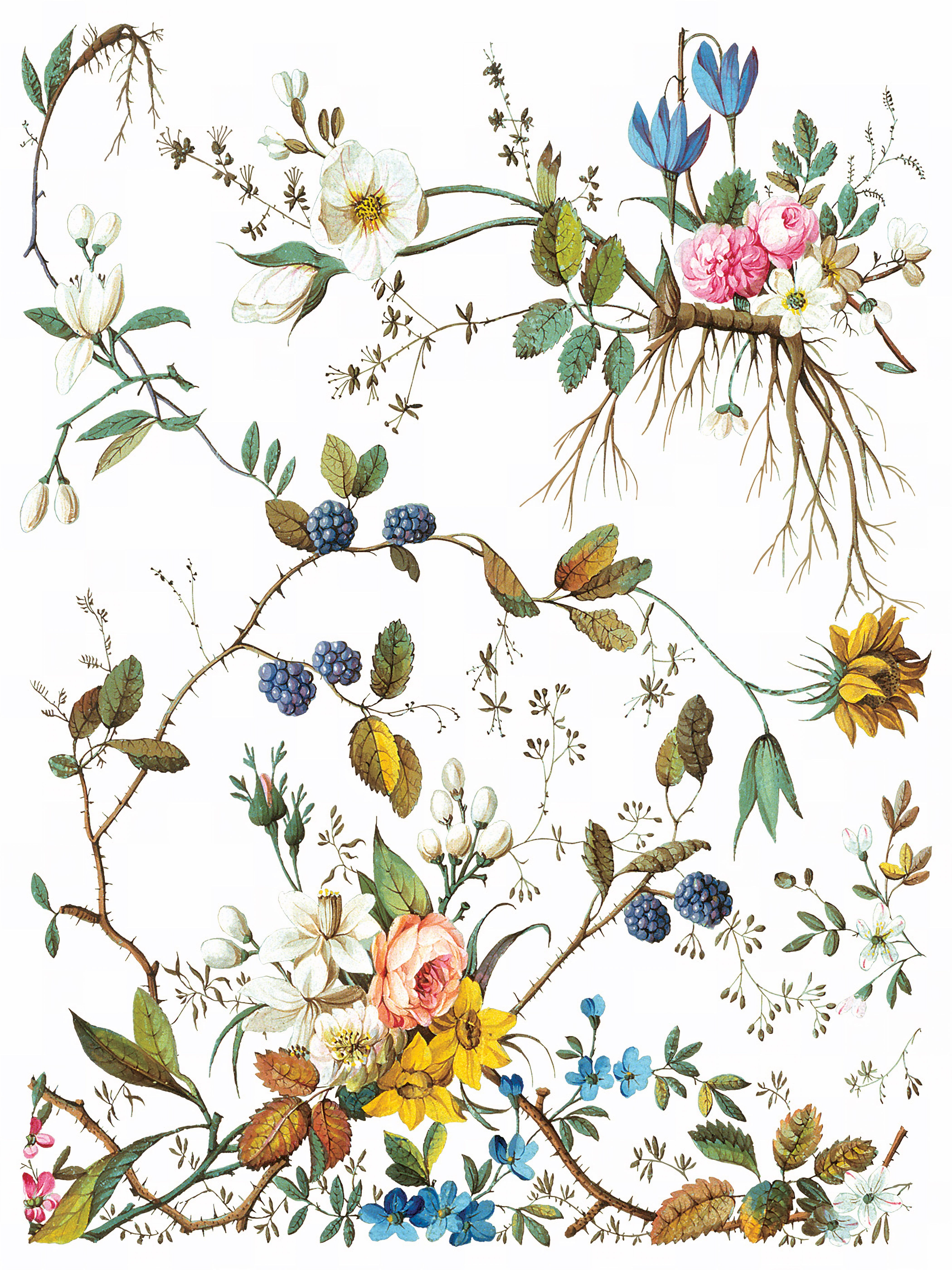 Lost Garden Transfer by IOD - Iron Orchid Designs