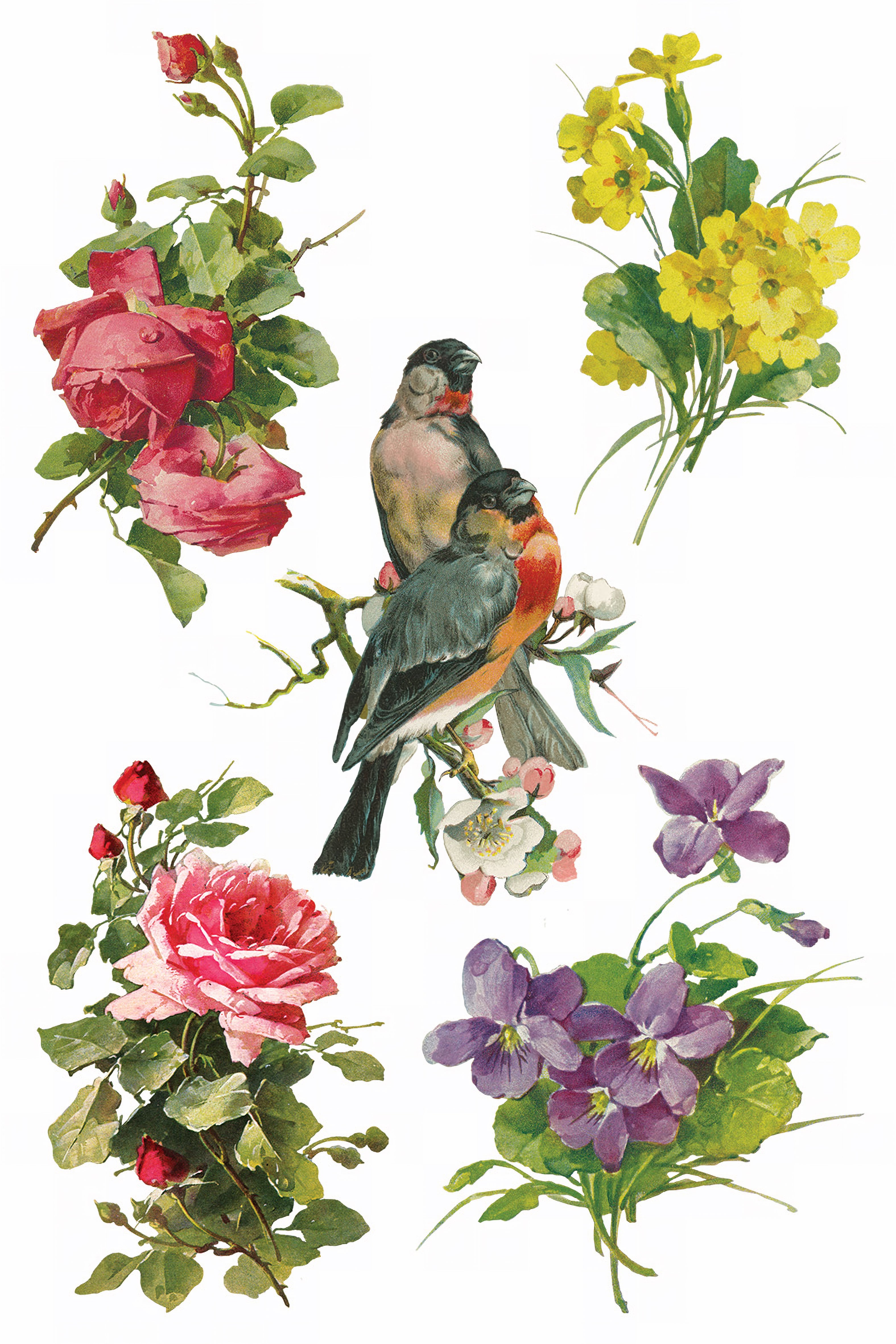 Catharina Transfer by IOD - Iron Orchid Designs