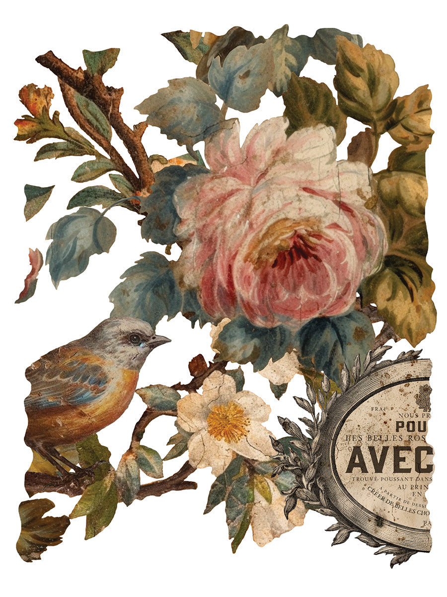 Joie Des Roses Transfer by IOD featuring a bird and roses in a vintage Iron Orchid Designs style.
