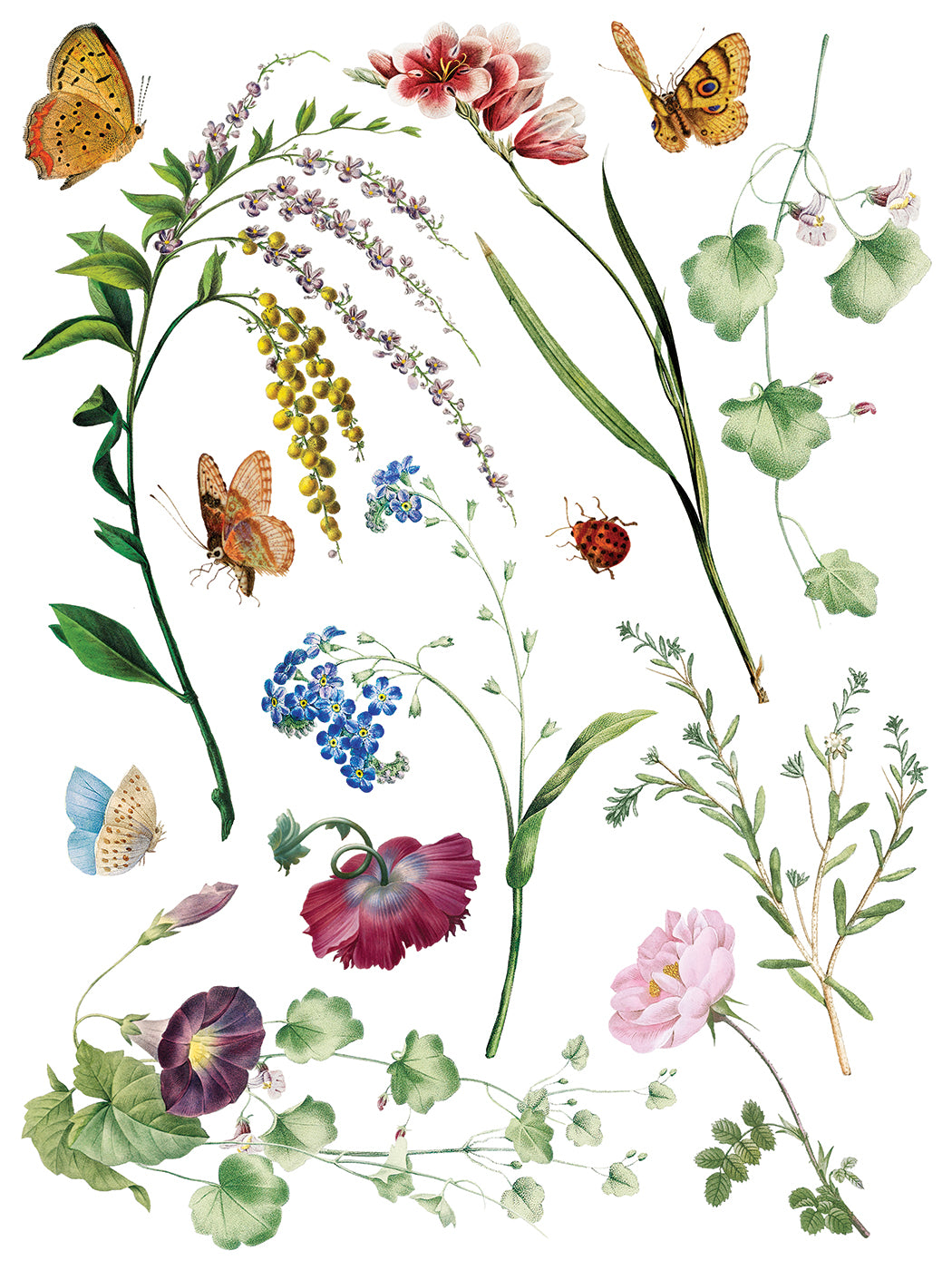 Marché des Fleurs Transfer by IOD with French blooms, butterflies, and a ladybug on a white background.