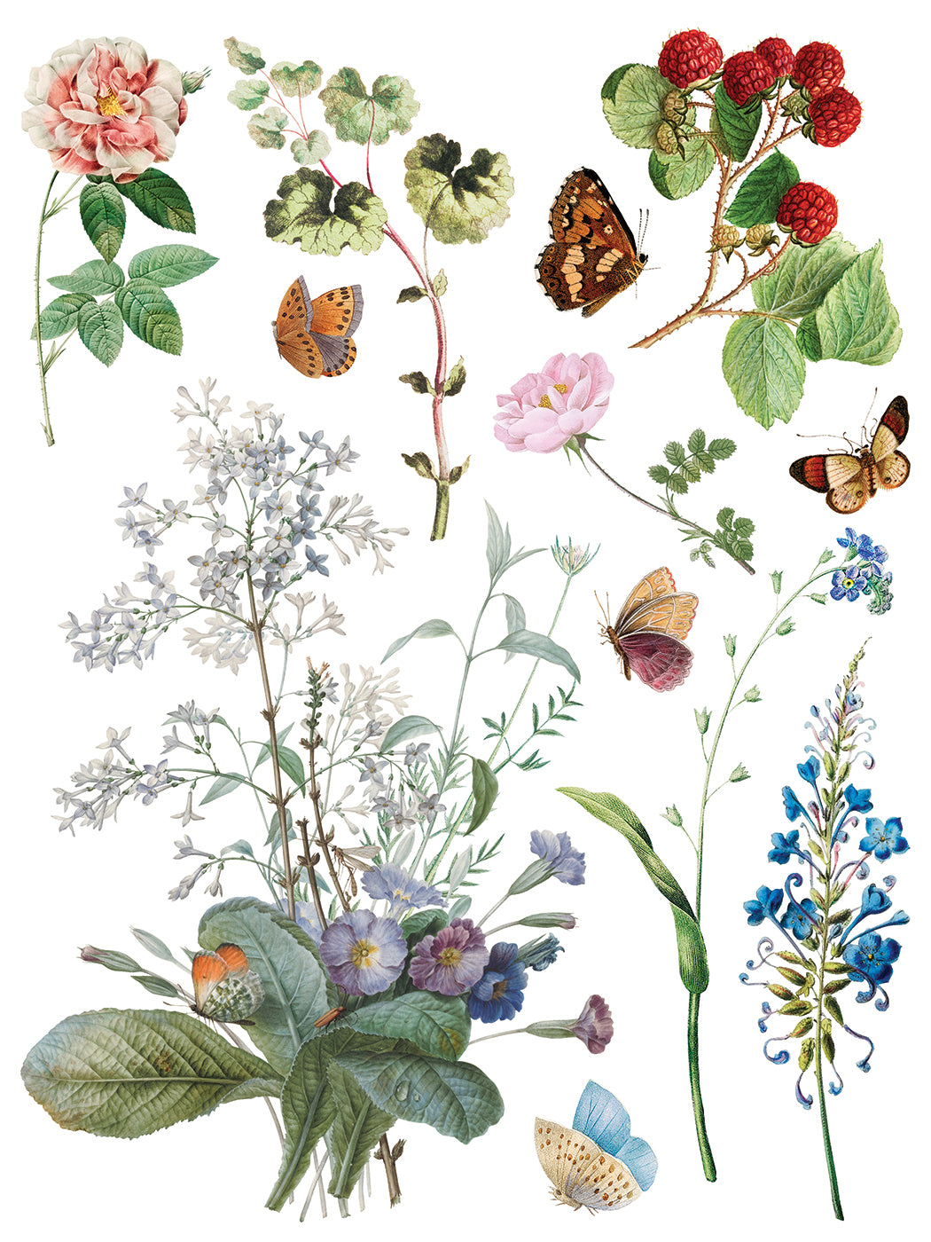 Marché des Fleurs Transfer by IOD, floral and berry motif inspired by French markets, Iron Orchid Designs.