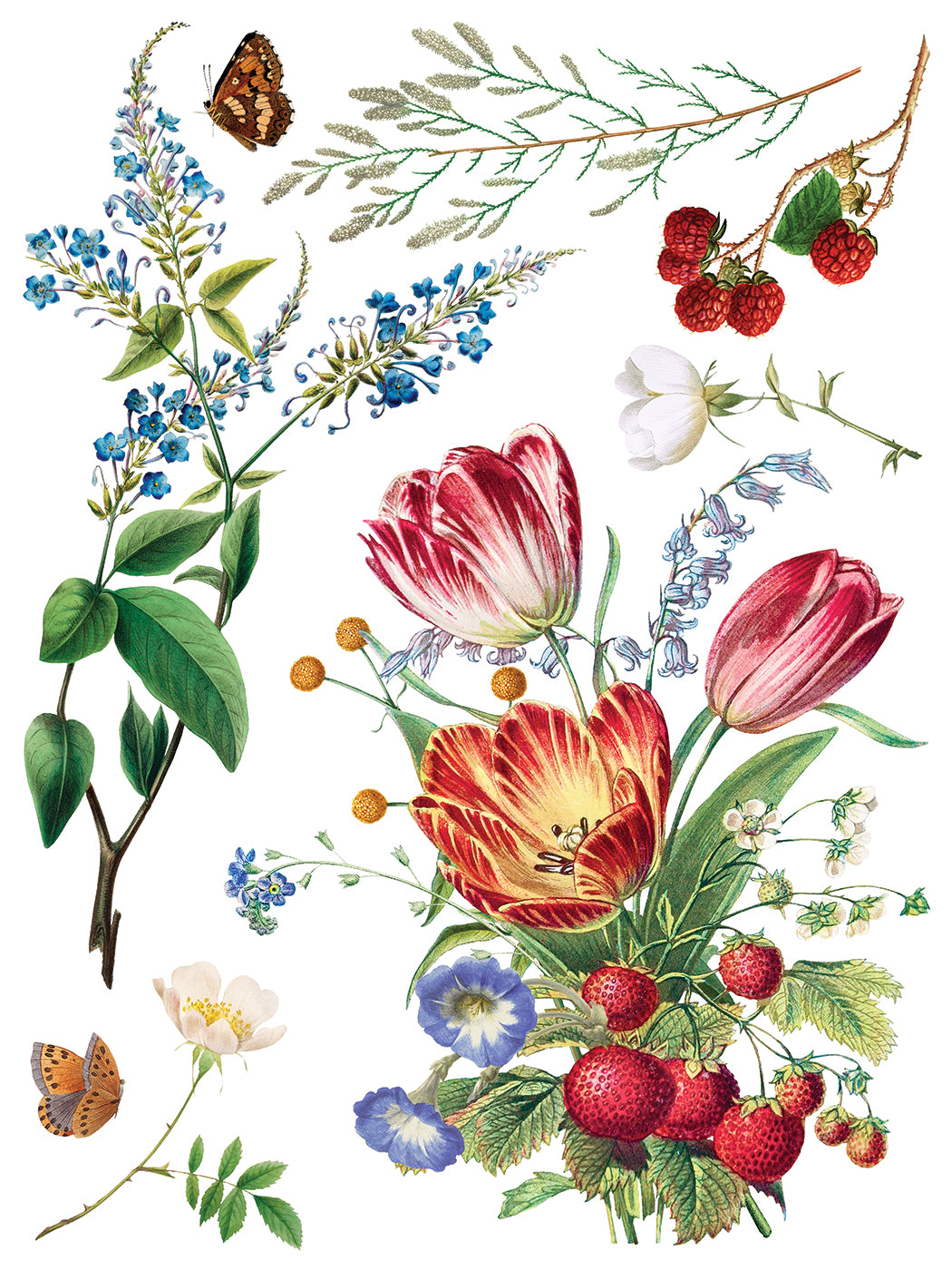 Marché des Fleurs Transfer by IOD with botanical florals, berries, and butterflies on white background.