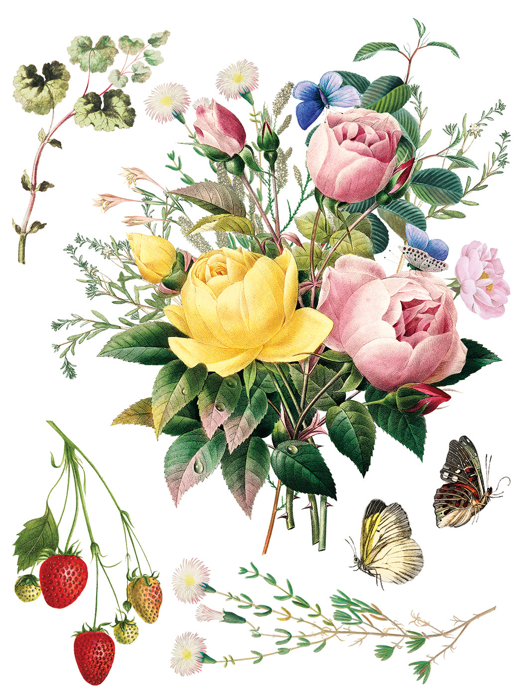 The Marché des Fleurs Transfer by IOD featuring French flower market roses and botanical designs.