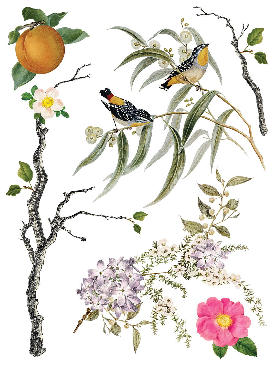 IOD Menagerie Transfer with baroque chinoiserie birds, peach accents, and florals on white. Brand: I.O.D.