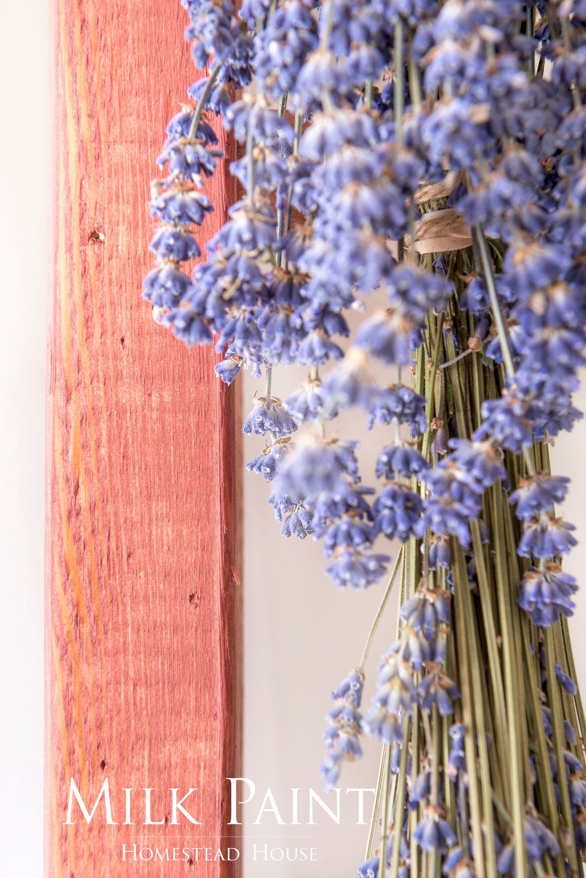 Dried lavender bunch hanging next to a pink wooden plank, styled for Fusion Mineral Paint Milk Paint Wood Stain projects.