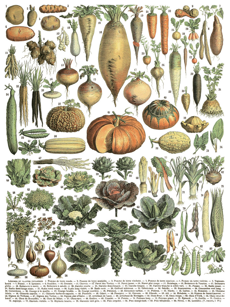 Millot’s Pages Transfer by I.O.D., featuring vintage botanical artwork for rub-on transfers.
