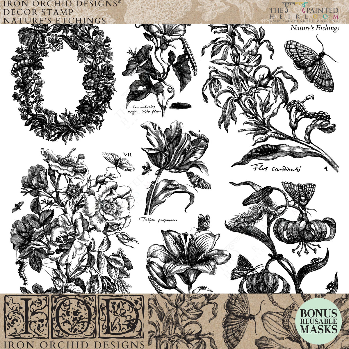 Nature’s Etchings Stamp by I.O.D., black and white botanical collage design.