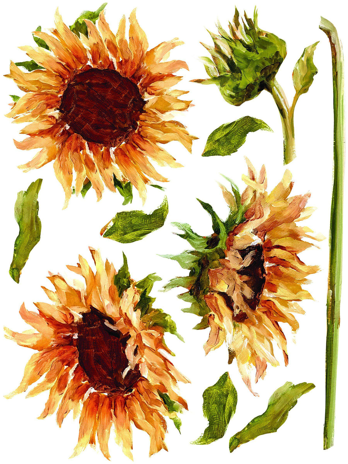 Painterly Florals Decor Transfer Set by IOD - Iron Orchid Designs @ Painted Heirloom