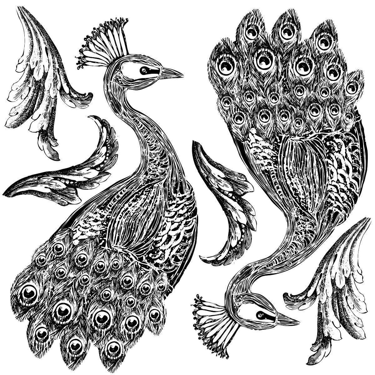 Pavo Decor Stamp by IOD - Iron Orchid Designs (2 stamp set) *RETIRING* @ Painted Heirloom