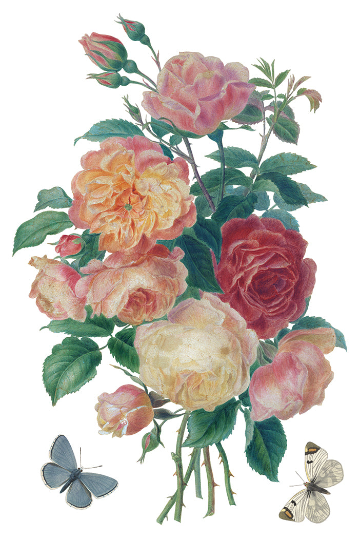 I.O.D. Saint Ouen Transfer featuring a bouquet of roses and butterflies on white background.