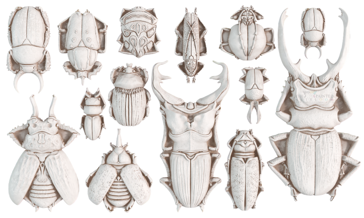 Specimens Mould by IOD showing fifteen beetle exoskeletons arranged in three rows for crafts.