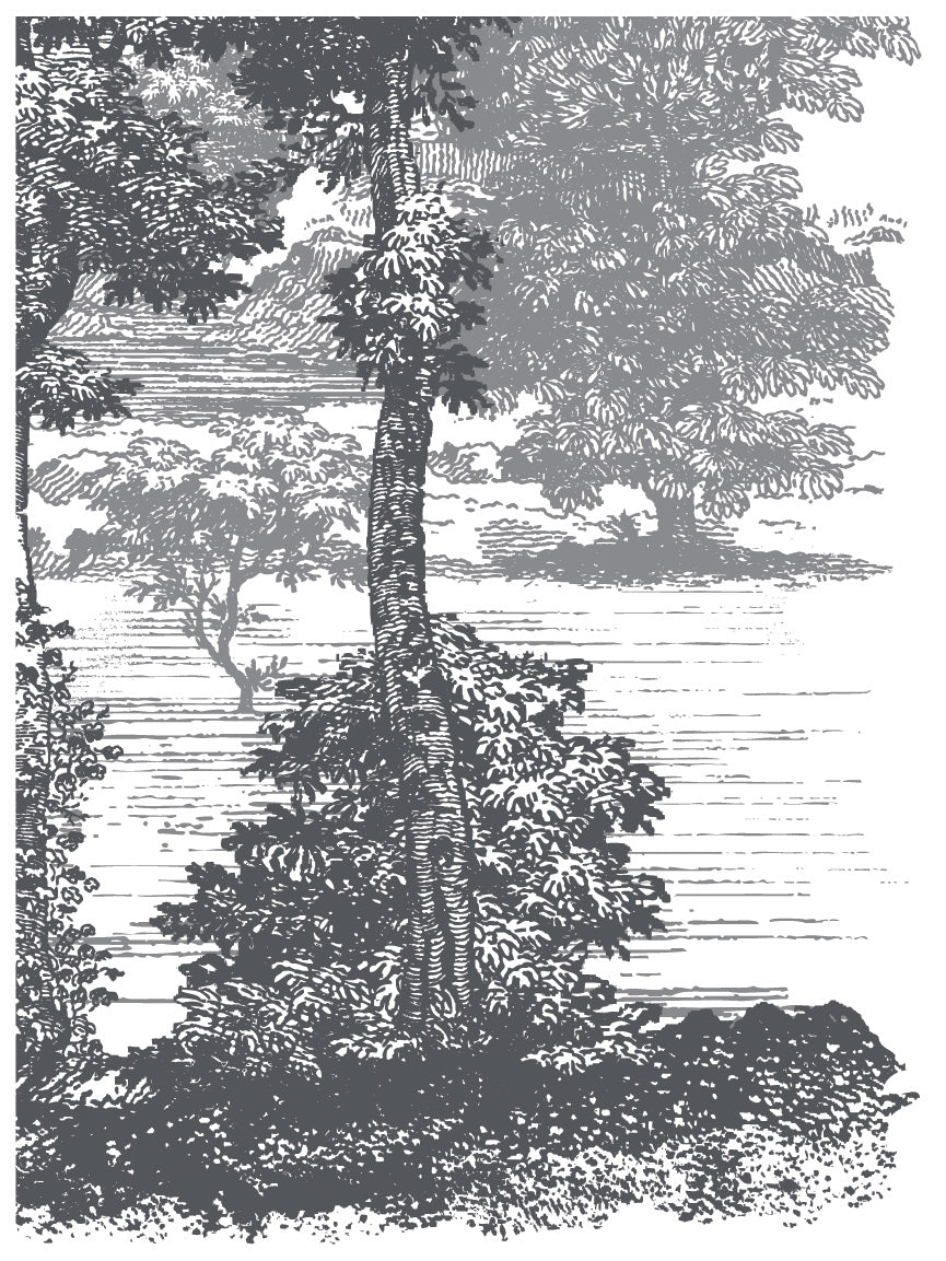 Black and white trees beside water, inspired by Summer Villa Paint Inlay by I.O.D.