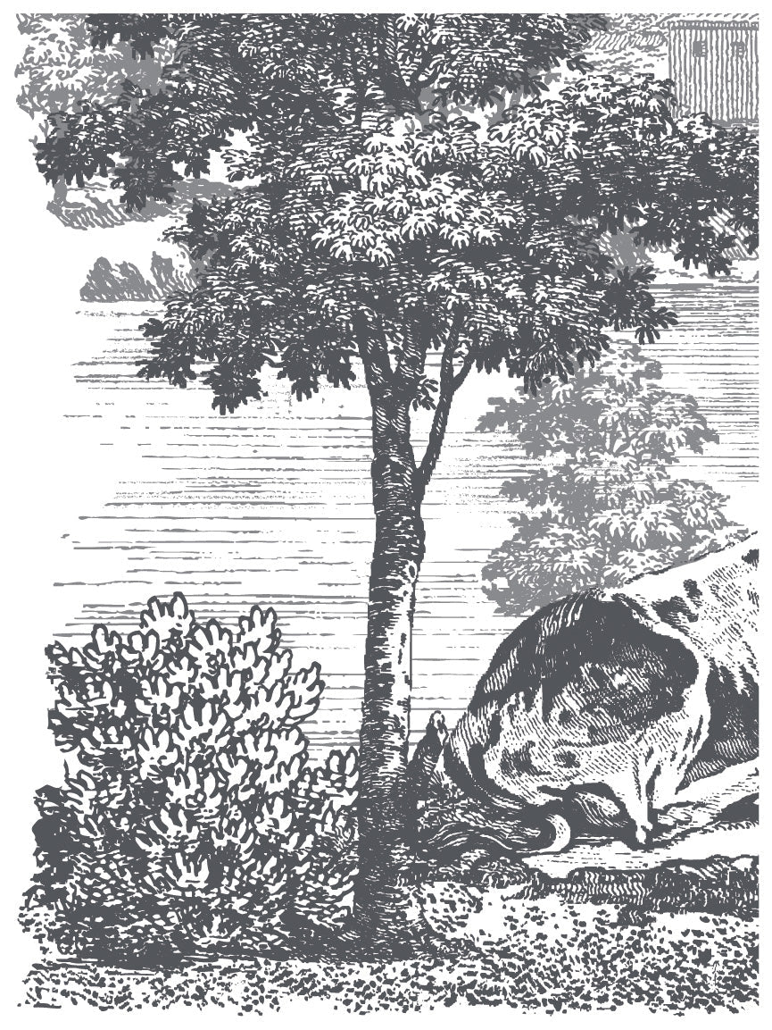 Black and white Summer Villa Paint Inlay by Iron Orchid Designs (IOD), shown in a classic, detailed scene.