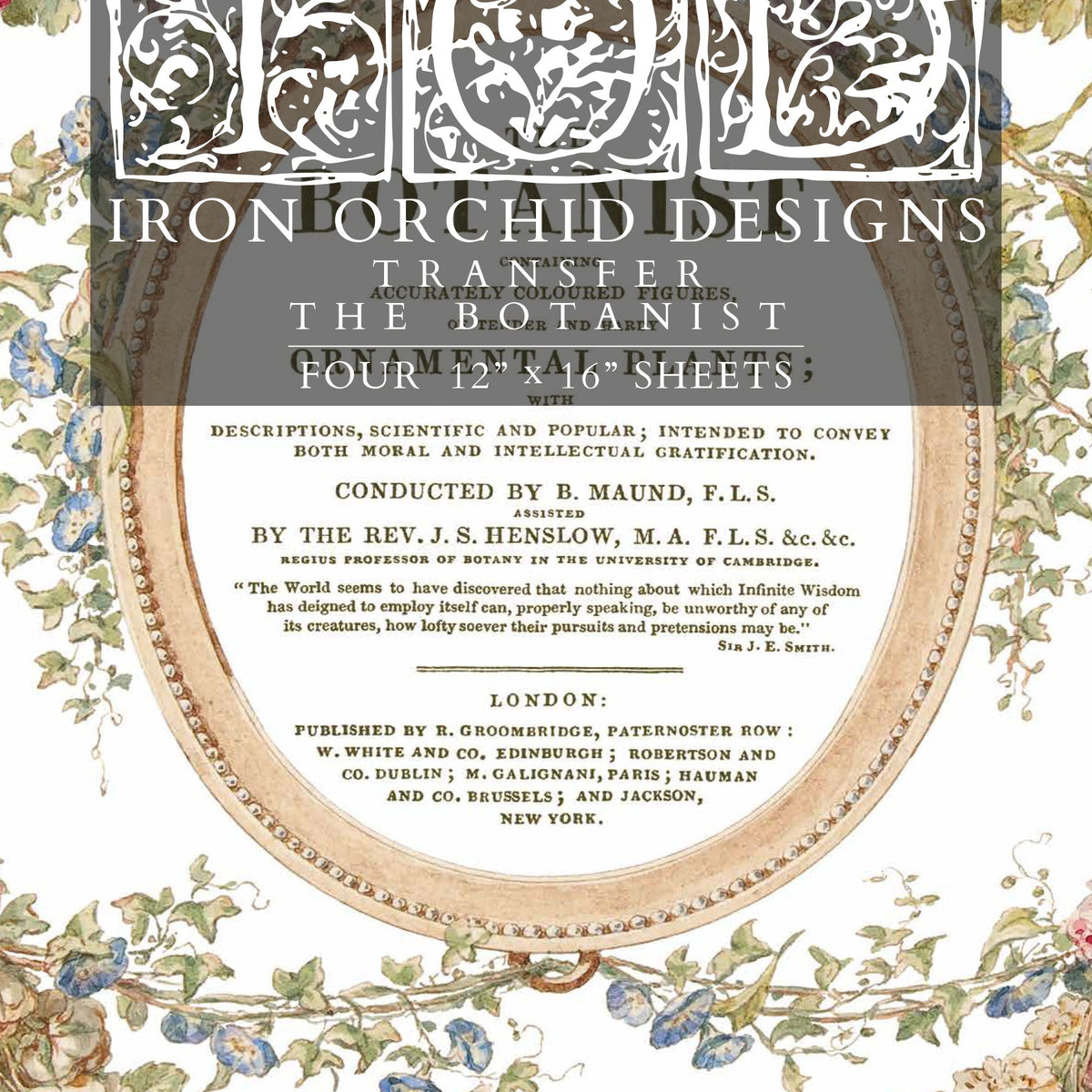 Transfert de botaniste d'hiver d'Iron Orchid Designs Transfert de botaniste d'hiver d'Iron Orchid Designs