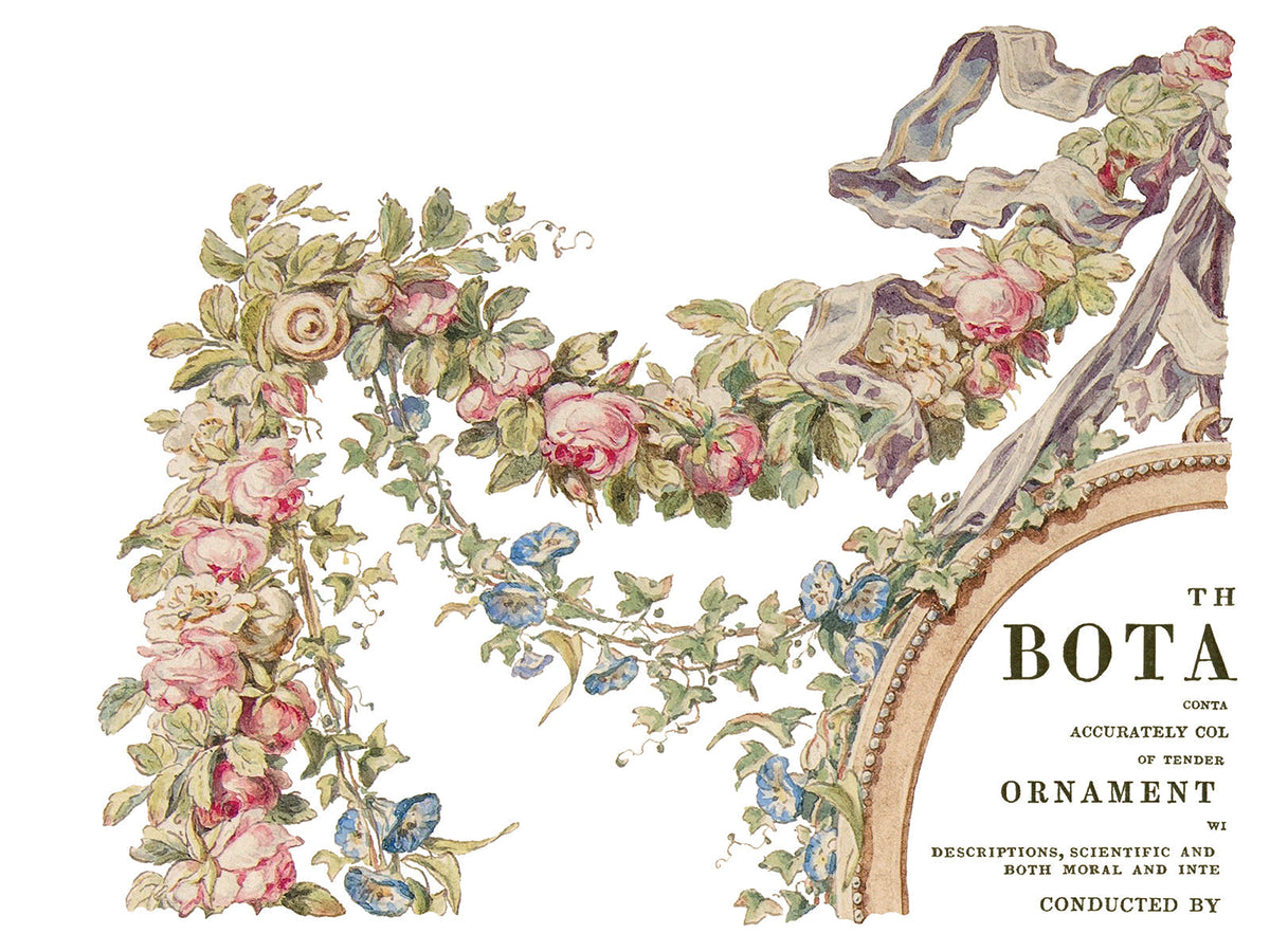 The Botanist Transfer by IOD with pink roses and blue flowers for decorative furniture applications.