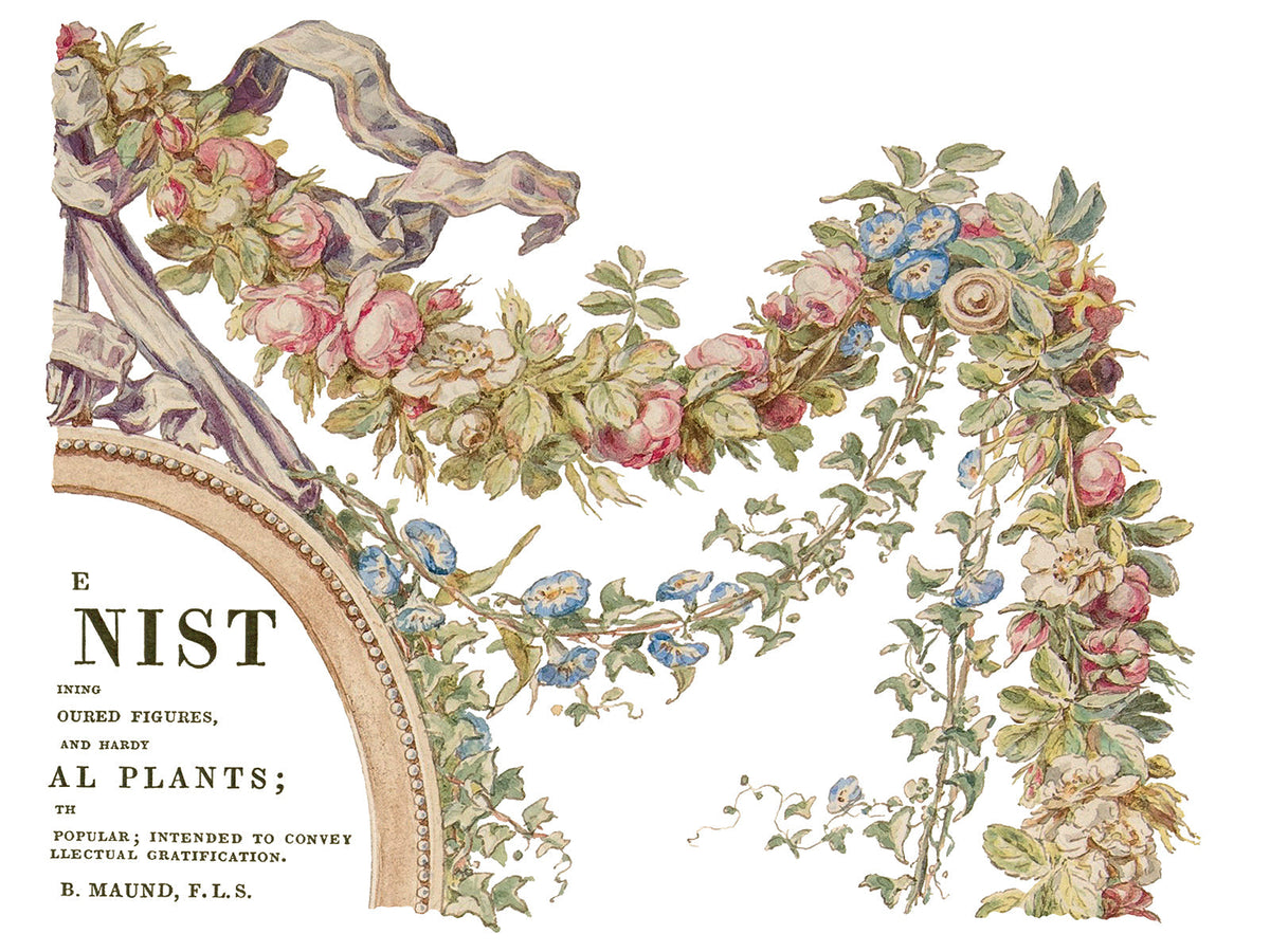 The Botanist Transfer by IOD, retired design; pink, blue, and white floral garland with green leaves.