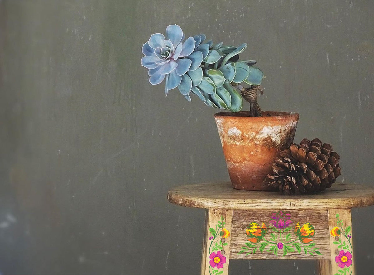 Succulent in clay pot and two pinecones on stool with I.O.D. Vida Flora Paint Inlay by Debi Beard floral designs.