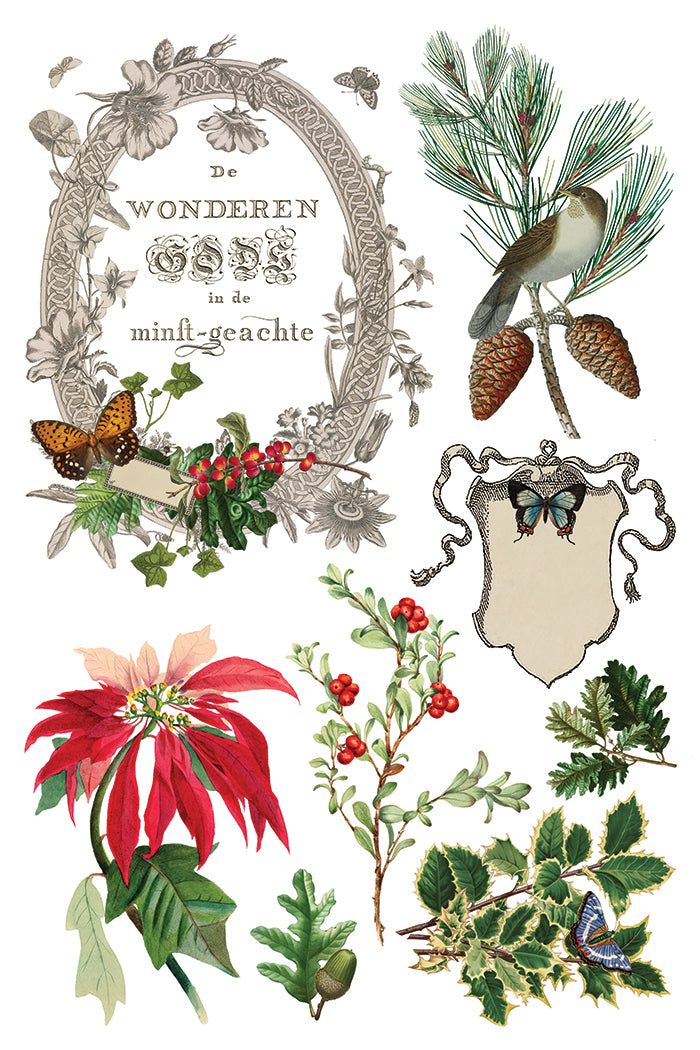 Vintage botanicals, birds, and butterflies for I.O.D. Winter Botanist Transfer (2025 Limited Release) projects.