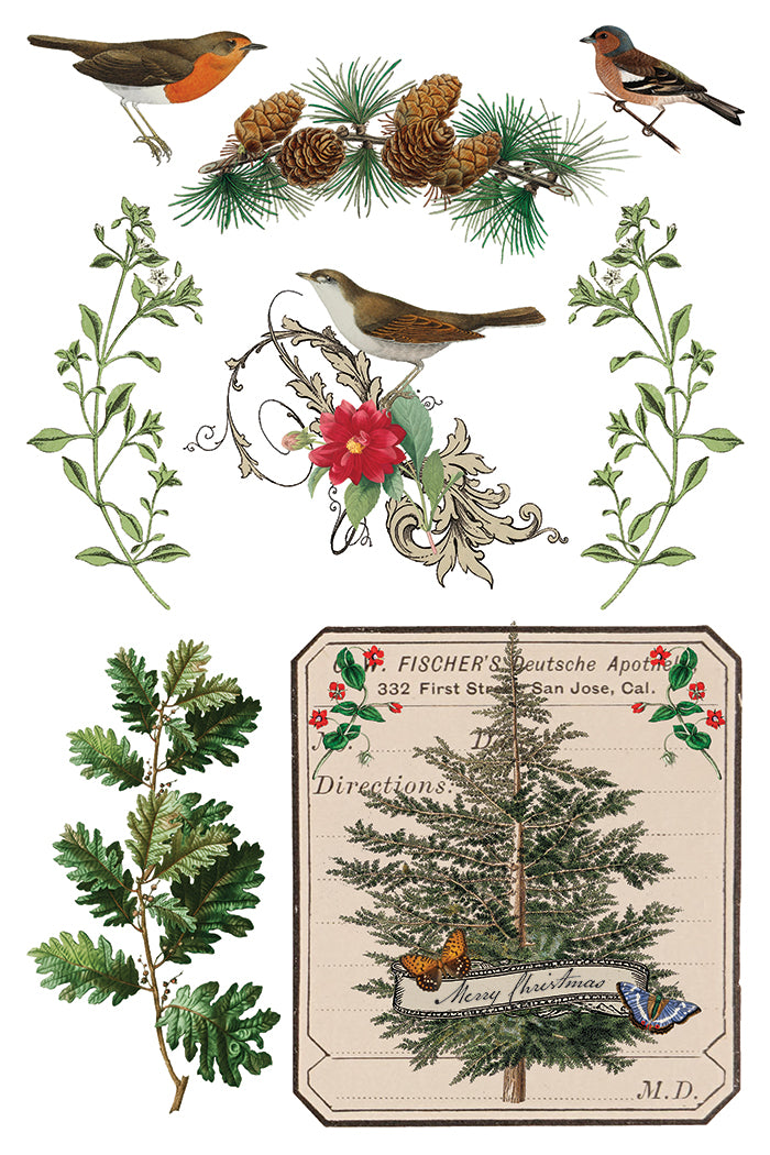 I.O.D. Winter Botanist Transfer 2025 Limited Release with vintage bird, plant, and tree illustrations.