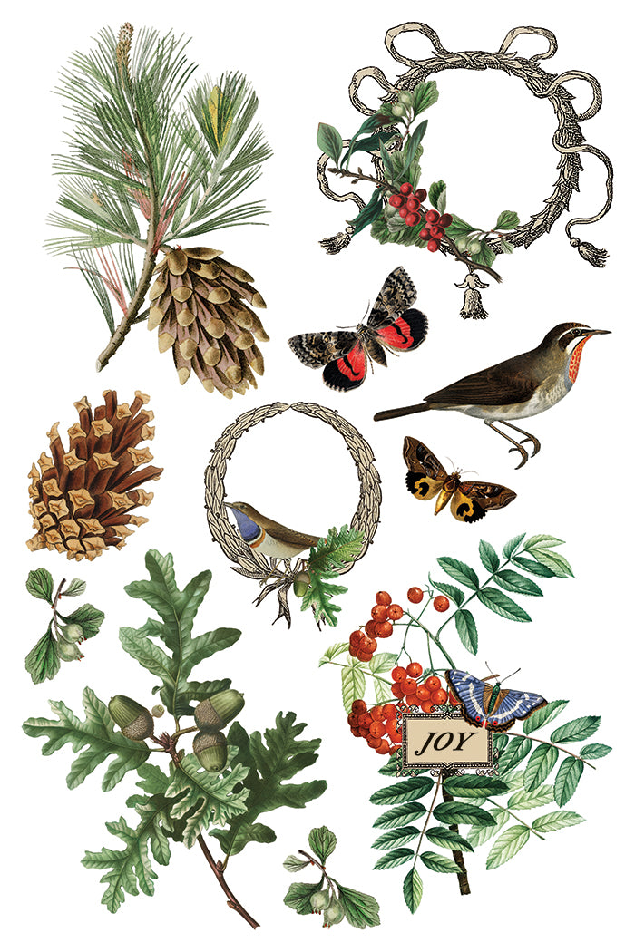 I.O.D. Winter Botanist Transfer (2025 Limited Release) with botanicals, pinecones, and wreaths on white background.