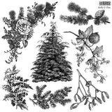 Holly & Pine Stamp (2025 Limited Release) by IOD - Iron Orchid Designs
