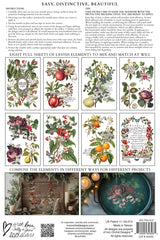 Clementine Transfer (2025 Limited Release) by IOD - Iron Orchid Designs