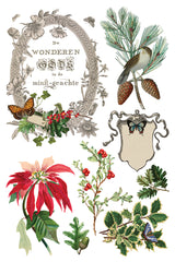 Winter Botanist Transfer (2025 Limited Release) by IOD - Iron Orchid Designs
