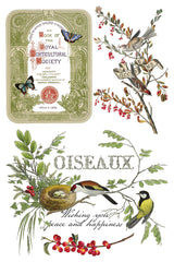 Winter Botanist Transfer (2025 Limited Release) by IOD - Iron Orchid Designs