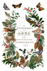 Winter Botanist Transfer (2025 Limited Release) by IOD - Iron Orchid Designs