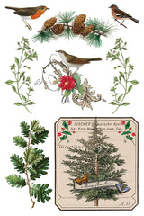 Winter Botanist Transfer (2025 Limited Release) by IOD - Iron Orchid Designs