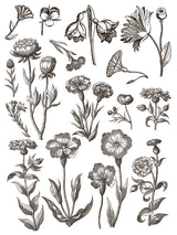 Floriography Paint Inlay by IOD - Iron Orchid Designs