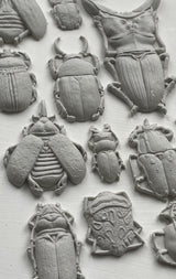 Specimens Mould by IOD - Iron Orchid Designs