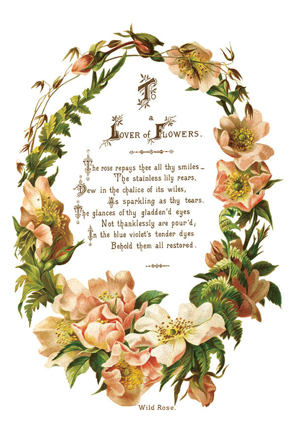 Lover of Flowers Transfer by IOD - Iron Orchid Designs