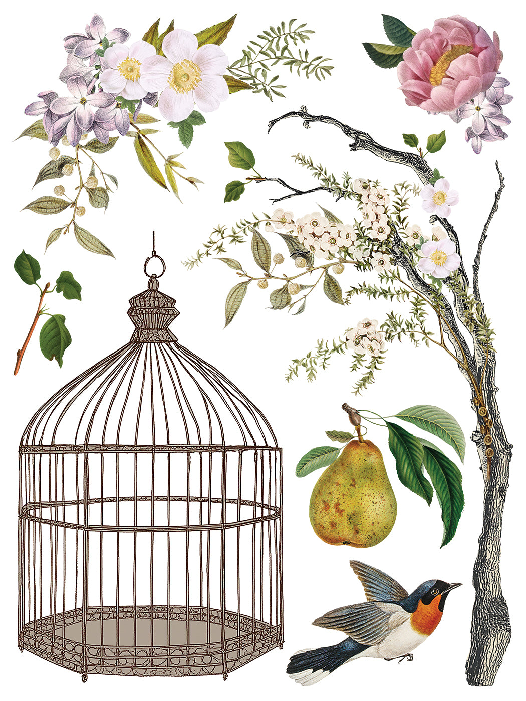 Menagerie Transfer by IOD - Iron Orchid Designs
